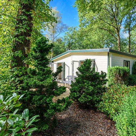 Luxe Familiehuis Veluwe 4-6 Persons Pool Kids Dog 霍德鲁 外观 照片
