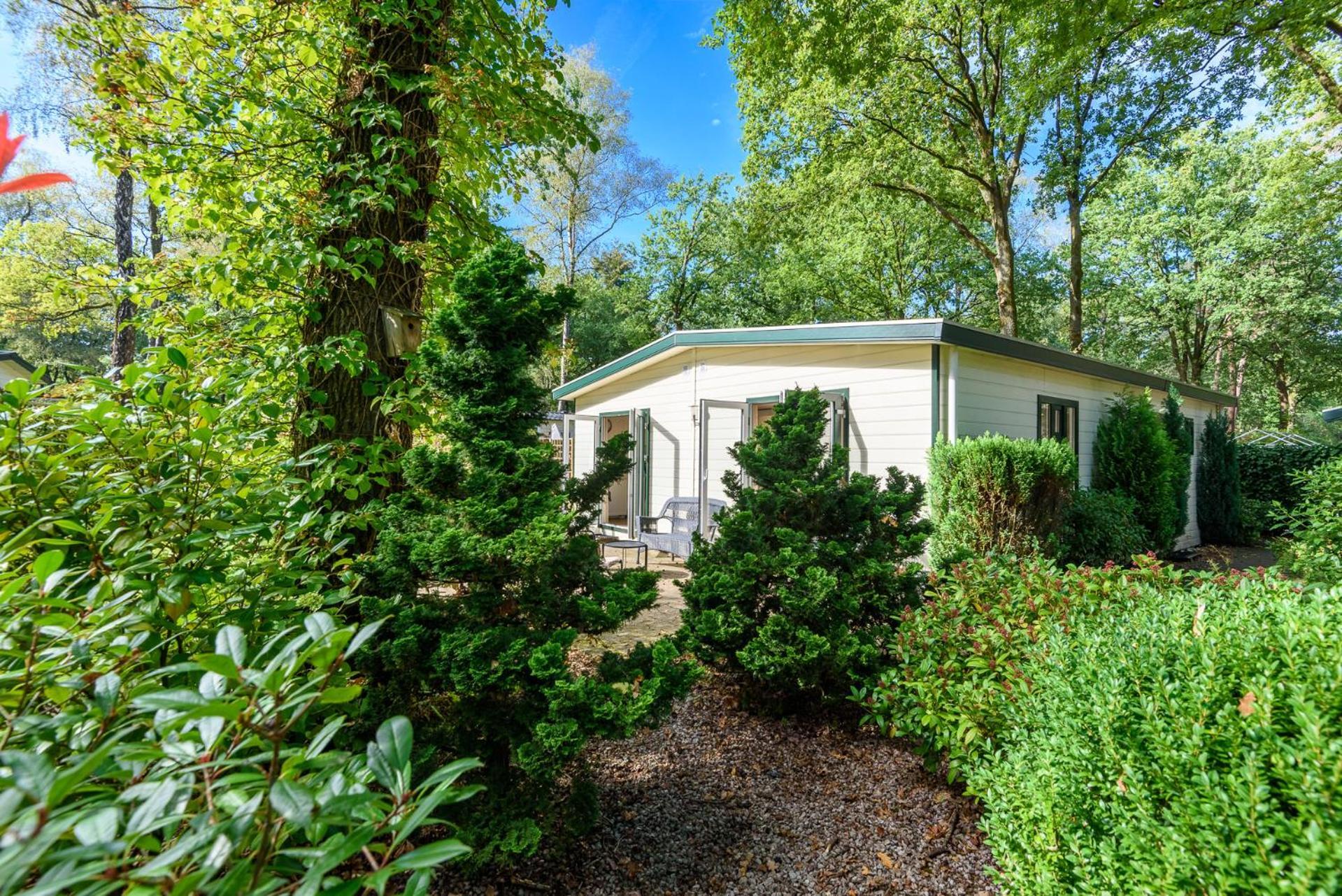 Luxe Familiehuis Veluwe 4-6 Persons Pool Kids Dog 霍德鲁 外观 照片
